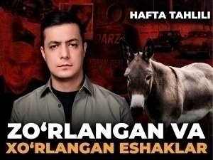Жинсий зўрланаётган эшаклар, қарздор халқ, ўлимга кетаётган ўзбеклар – Ҳафта таҳлили