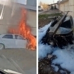 Toshkentda simyog‘ochga urilgan Cobalt to‘liq yonib ketdi
