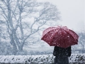 Ertaga qanday ob-havo bo‘lishi aytildi