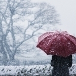 Ertaga qanday ob-havo bo‘lishi aytildi