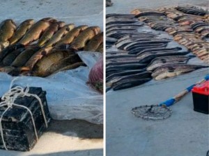 A criminal case was initiated against illegal fishing in Jizzakh