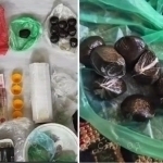 Toshkentda yirik og‘ufurushlar tarmog‘i fosh etildi (video)