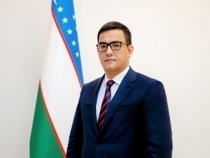 Director appointed to the Agency for Industrial Cooperation and Public Procurement