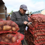 O‘zbekistonda kartoshka, piyoz, sabzi, guruch zaxirasi hajmi tasdiqlandi