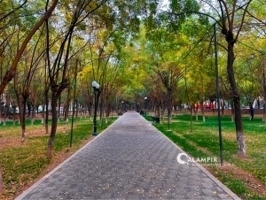 Sati Casanova xxx rasm