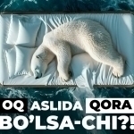 Oq aslida qora bo‘lsa-chi?! Oq ayiq aslida qora, erkak dengiz otlari esa tug‘adi: hayvonlar haqida qiziq faktlar
