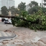 Poytaxt aholisi ogohlantirildi
