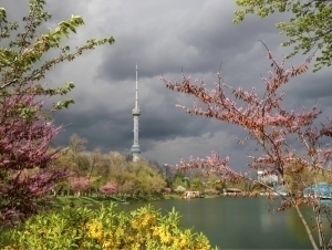 Dam olish kunlarida qanday ob-havo kuzatiladi?