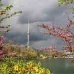 Dam olish kunlarida qanday ob-havo kuzatiladi?