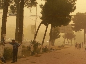 9 viloyatda chang-to‘zon kuzatiladi – O‘zgidromet