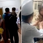 Toshkent viloyati bog‘chalaridagi ommaviy zaharlanish: 10 kishi qamoqqa olindi