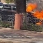Тошкентда Orlando ёниб кетди
