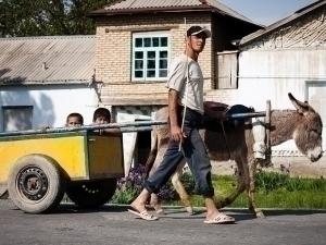 Uzbekistan needs a century to become a wealthy country, the World Bank says 