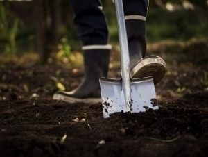 6-month-old fetus buried in a workshop in Fergana