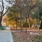 Weekend temperatures expected to rise