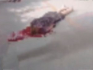 A Man Kills his Wife and Then Kills Himself
