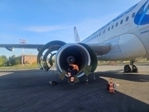 Plane scheduled to fly to Tashkent collides with birds