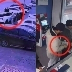 Farg‘onada yana bir guruh ko‘cha bezorilari ushlandi (video)