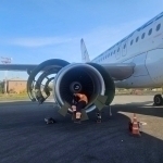 Plane scheduled to fly to Tashkent collides with birds