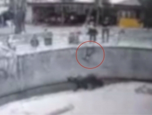 Toshkentda qizini ayiq qafasiga tashlagan ona endi uni pichoqlab o‘ldirdi