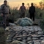 Yil boshidan beri noqonuniy ov qilgan 300 ga yaqin kishi jazolandi