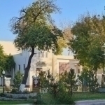 “Muammolar juda ko‘p”. “O‘zbekfilm” qarzga botgani ma’lum bo‘ldi