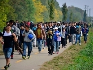 ЕИда мигрантлар сони рекорд даражада кўпайди