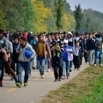 YeIda migrantlar soni rekord darajada ko‘paydi