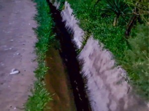 What caused the death of the child whose body was found in a ditch?  New information has been released