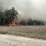 Zaporoje AES yaqinidagi o‘rmonga o‘t ketdi