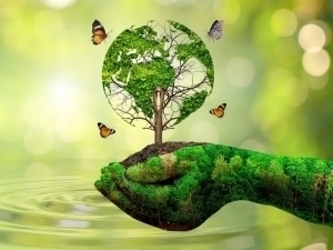 Iqlim yana jonlana boshladimi?