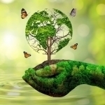 Иқлим яна жонлана бошладими?