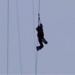 “Қамчиқ” довонида 16 ёшли қиз зиплайндан тушиб кетди (видео)