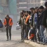 Rossiyada migrantlar sodir etgan jinoyatlar kamaygani qayd etildi