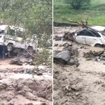 3 cars swept away by mudflows in Jizzakh (video)