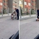 Toshkentda erkak to‘rt yashar nabirasini kaltakladi