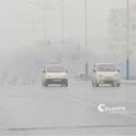 Эртага туманли совуқ ҳаво кузатилади