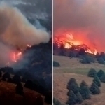 Blaze breaks out in Sherabad district’s Surkhan Reserve (video)