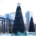 Yangi yil kuni ob-havo qanday bo‘ladi?