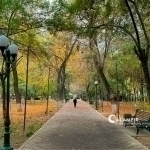 What will the weather be like tomorrow?