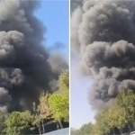 Намангандаги бозорга ўт кетди (видео)