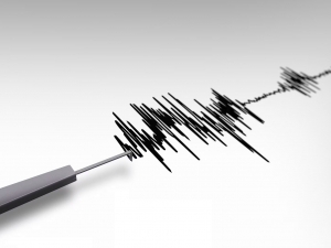 Earthquake in Kyrgyzstan felt in Andijan