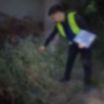 Farg‘onada 30 kg “ko‘knori” hosilini tomorqasida saqlayotgan shaxs ushlandi (video)