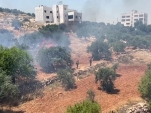 Isroillik askarlar G‘arbiy Sohilda bug‘doy dalalariga o‘t qo‘ydi