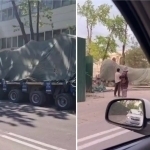 Собиқ ДХХ биноси ёнидаги дарахтларнинг ноқонуний кўчирилгани бўйича жиноят иши очилди