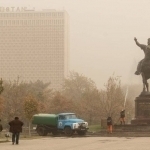 Ифлос ҳаво мия фаолиятини ёмонлаштиради – тадқиқот