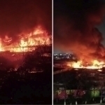 Тошкентдаги бозор ёниб кетди (видео)