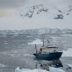 2027 yilga borib barcha Arktika muzlari eriydi – “Daily Mail”