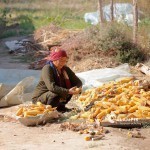 USAID Ўзбекистондаги қишлоқ аёлларига $2,4 млн беради
