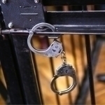 Man who stole seven chicks sentenced to more than 10 years in prison in Andijan